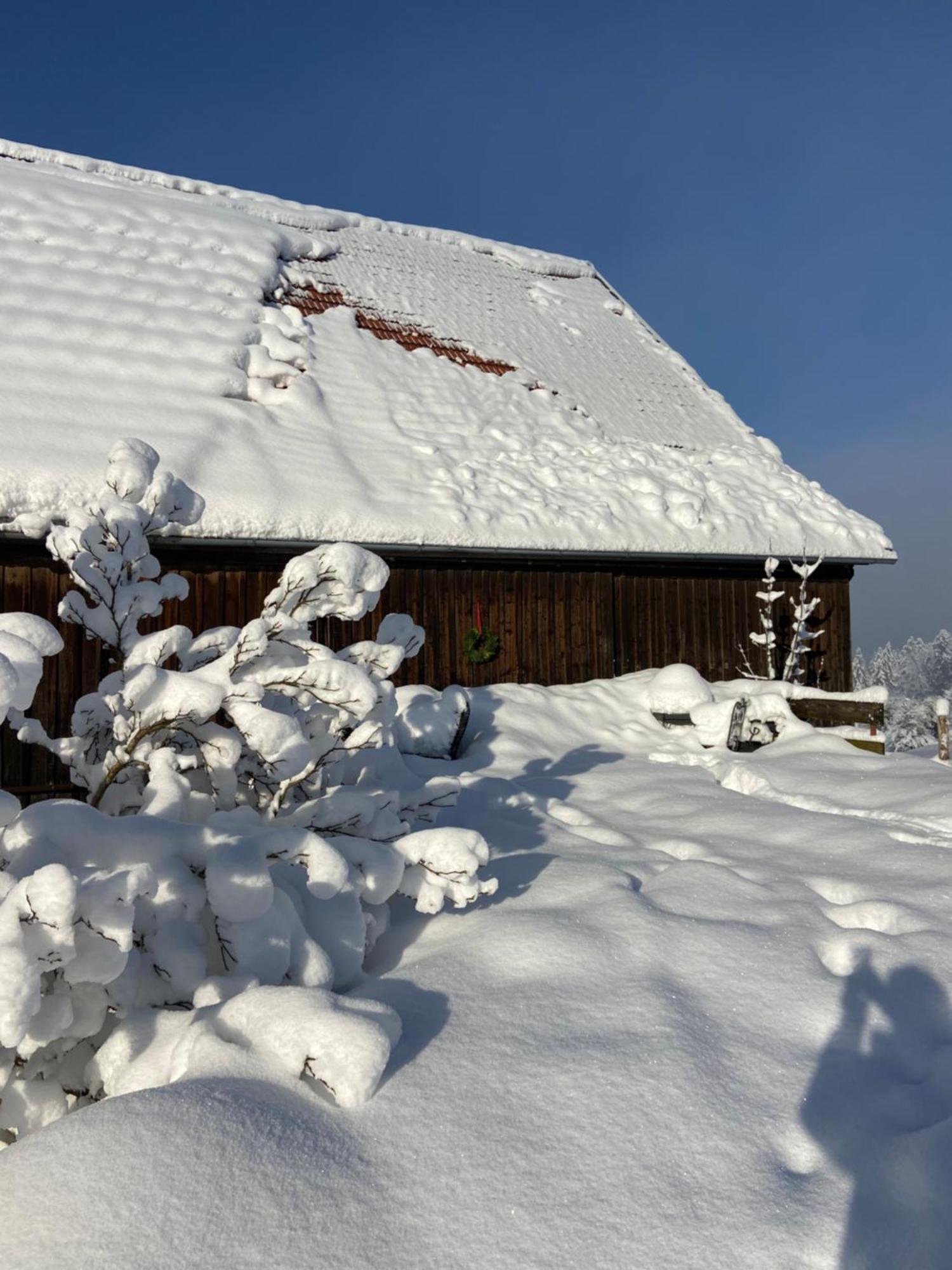 Allgaeu Cottage - Traumhafter Blick In Die Schweizer Berge Weiler-Simmerberg Εξωτερικό φωτογραφία